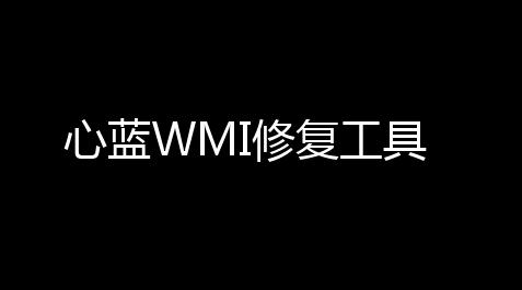 心蓝WMI修复工具_王牌竞速卡网插件